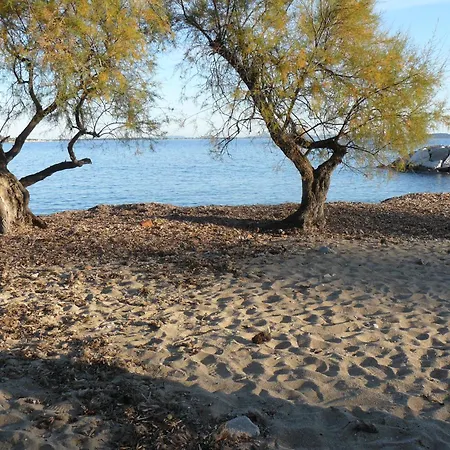 L'escandihado